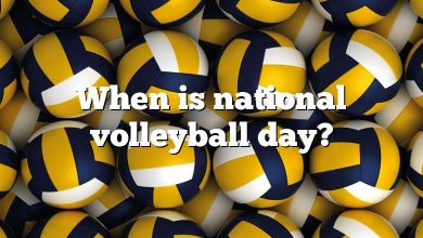 When is national volleyball day?