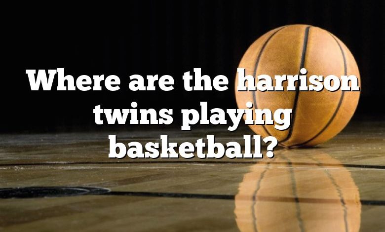 Where are the harrison twins playing basketball?