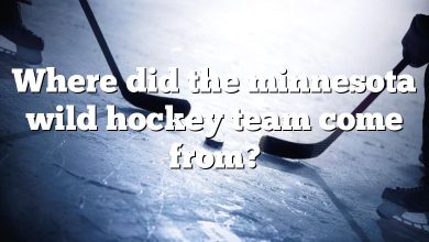 Where did the minnesota wild hockey team come from?