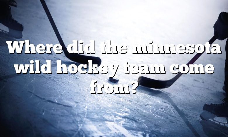 Where did the minnesota wild hockey team come from?