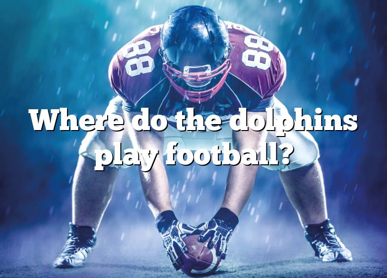 Where Do The Dolphins Play Football? DNA Of SPORTS