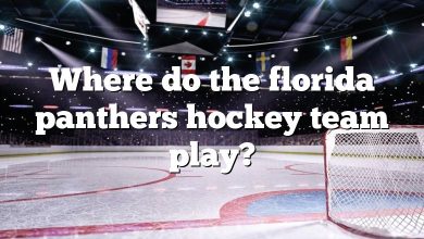 Where do the florida panthers hockey team play?