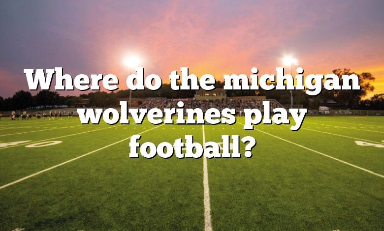 Where do the michigan wolverines play football?