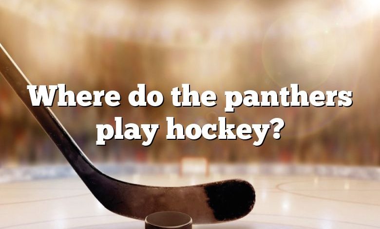 Where do the panthers play hockey?