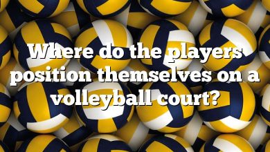 Where do the players position themselves on a volleyball court?