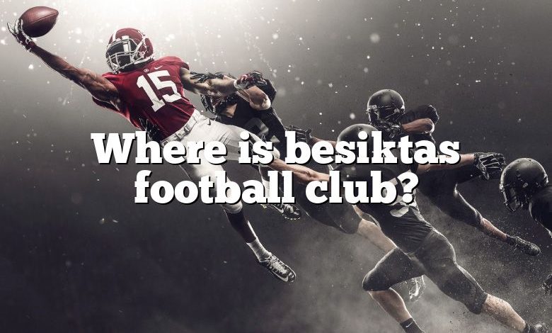 Where is besiktas football club?