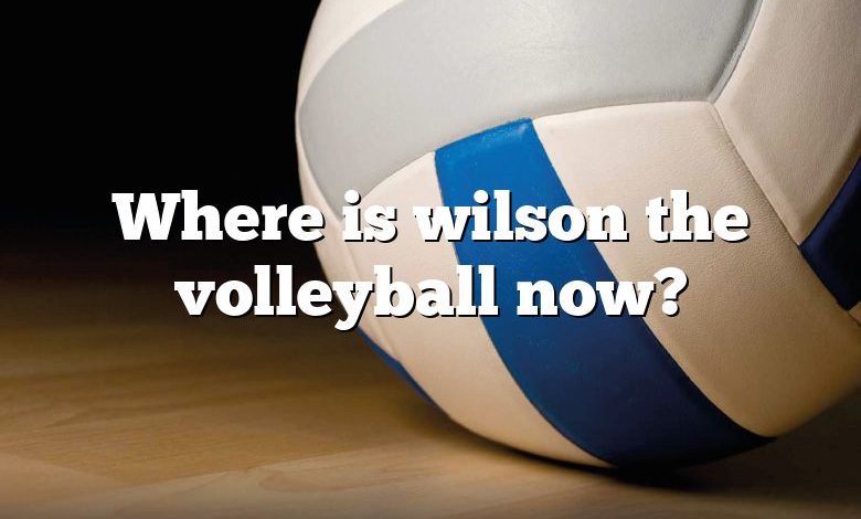 Where is wilson the volleyball now?