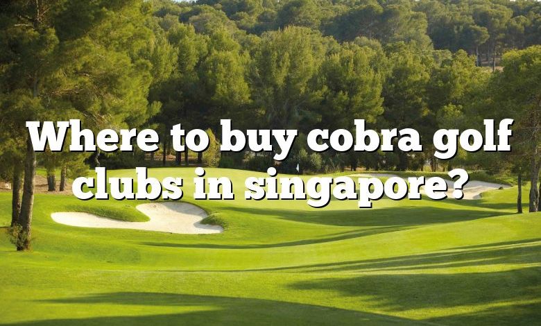 Where to buy cobra golf clubs in singapore?