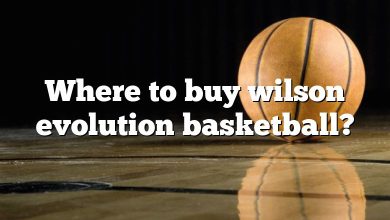 Where to buy wilson evolution basketball?