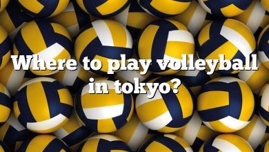 Where to play volleyball in tokyo?