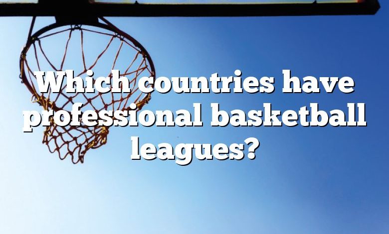 Which countries have professional basketball leagues?