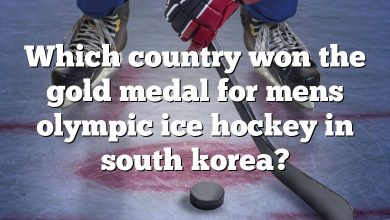 Which country won the gold medal for mens olympic ice hockey in south korea?