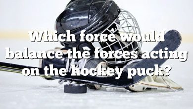 Which force would balance the forces acting on the hockey puck?