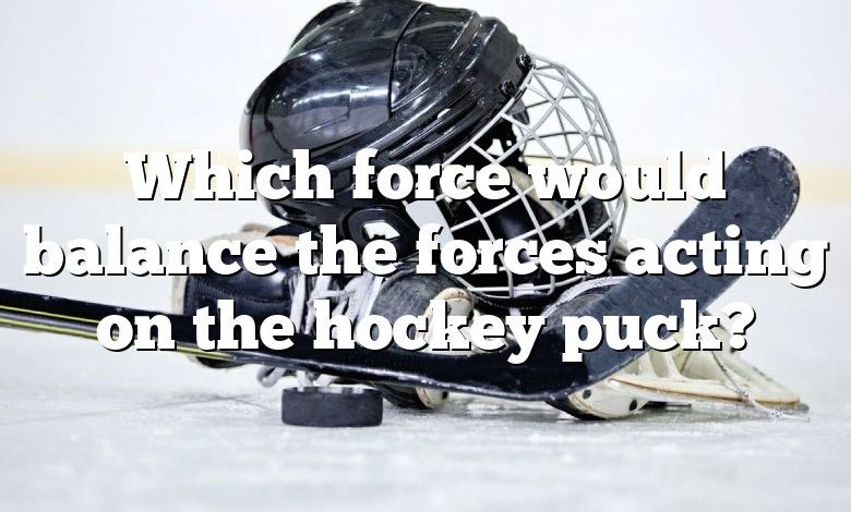 Which force would balance the forces acting on the hockey puck?