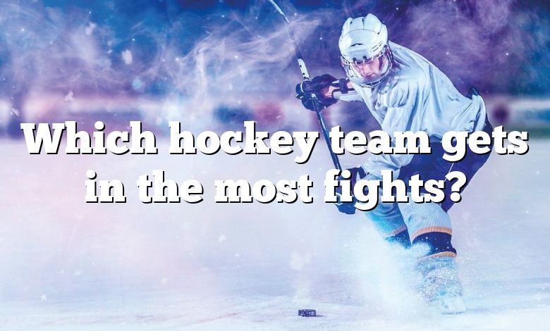 Which hockey team gets in the most fights?