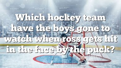 Which hockey team have the boys gone to watch when ross gets hit in the face by the puck?