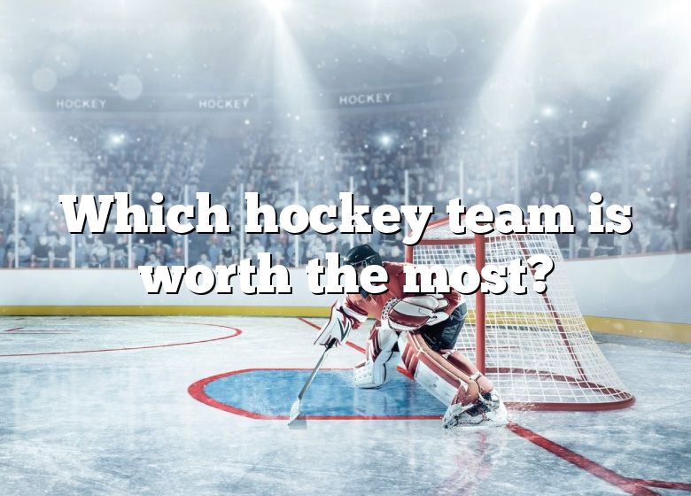 which-hockey-team-is-worth-the-most-dna-of-sports