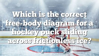 Which is the correct free-body diagram for a hockey puck sliding across frictionless ice?