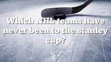 Which NHL teams have never been to the stanley cup?