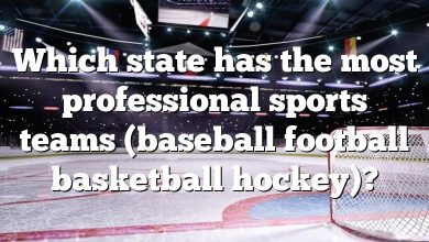 Which state has the most professional sports teams (baseball football basketball hockey)?