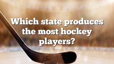 Which state produces the most hockey players?