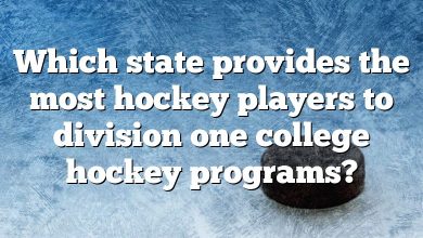 Which state provides the most hockey players to division one college hockey programs?