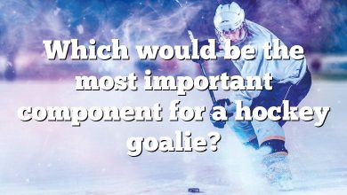 Which would be the most important component for a hockey goalie?