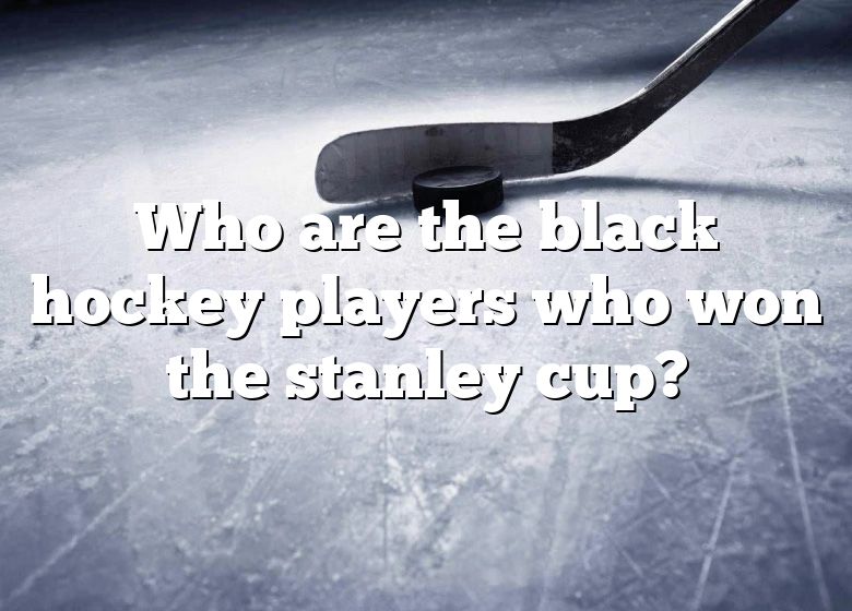 Stanley cup black man｜TikTok Search