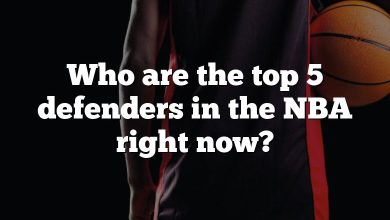 Who are the top 5 defenders in the NBA right now?