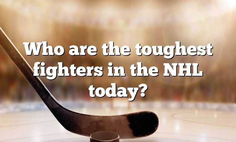 Who are the toughest fighters in the NHL today?