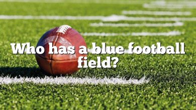 Who has a blue football field?