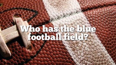 Who has the blue football field?