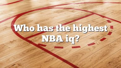 Who has the highest NBA iq?