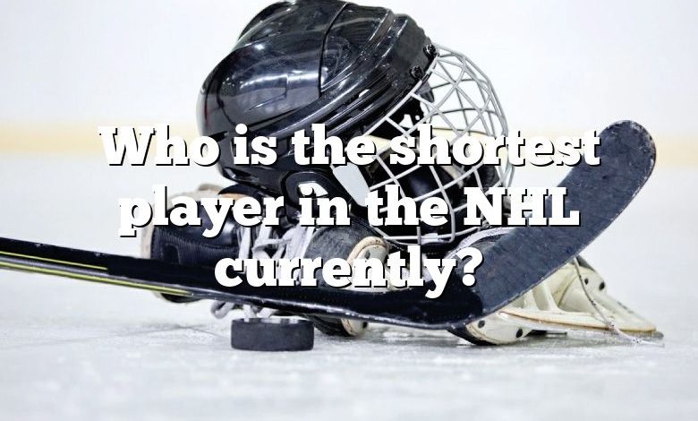 Who is the shortest player in the NHL currently?