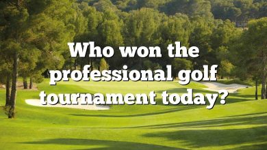 Who won the professional golf tournament today?