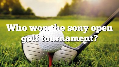 Who won the sony open golf tournament?