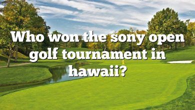 Who won the sony open golf tournament in hawaii?