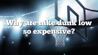Why are nike dunk low so expensive?