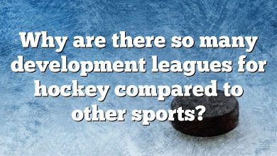 Why are there so many development leagues for hockey compared to other sports?