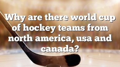 Why are there world cup of hockey teams from north america, usa and canada?