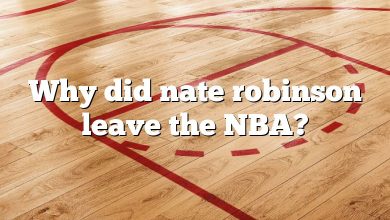 Why did nate robinson leave the NBA?