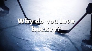 Why do you love hockey?