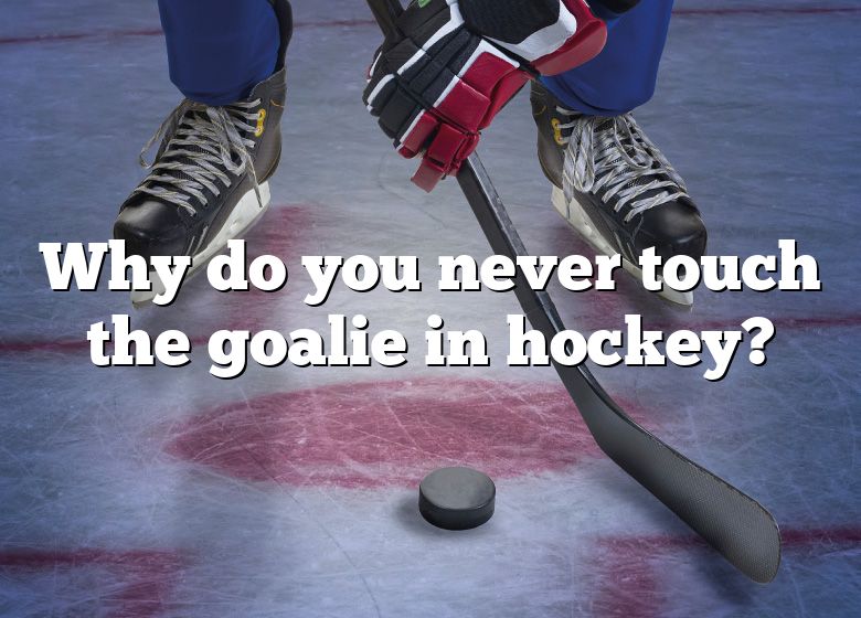 why-do-you-never-touch-the-goalie-in-hockey-dna-of-sports