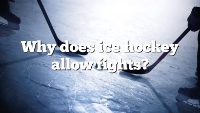 Why does ice hockey allow fights?