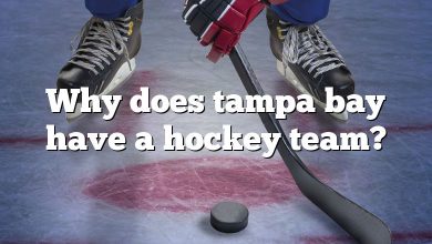 Why does tampa bay have a hockey team?