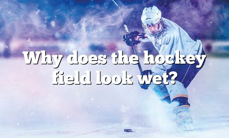 Why does the hockey field look wet?