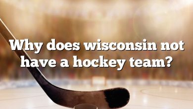 Why does wisconsin not have a hockey team?