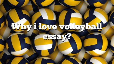 Why i love volleyball essay?