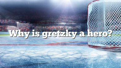 Why is gretzky a hero?