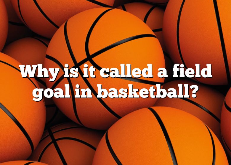 why-is-it-called-a-field-goal-in-basketball-dna-of-sports